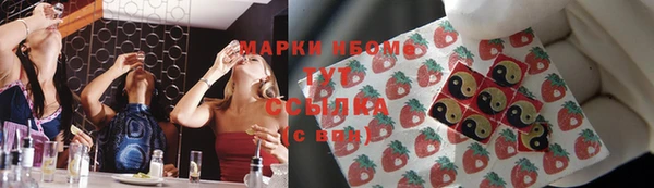СК Вязьма