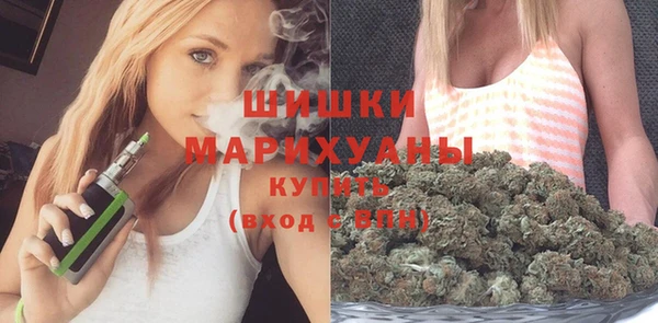 СК Вязьма