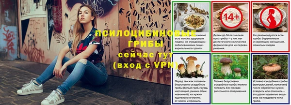 молекула духа Ступино