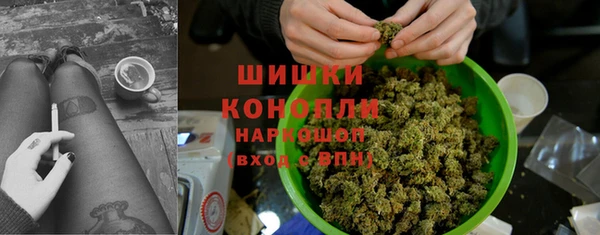 СК Вязьма