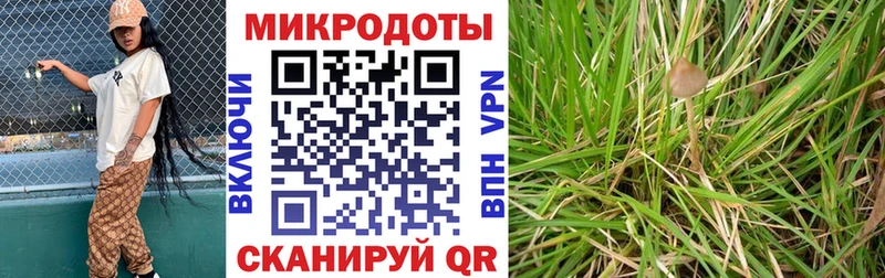 Галлюциногенные грибы Cubensis  Купить  Северская 